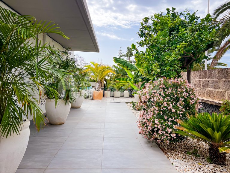 Villa for Sale in Costa Adeje, Malaga 15