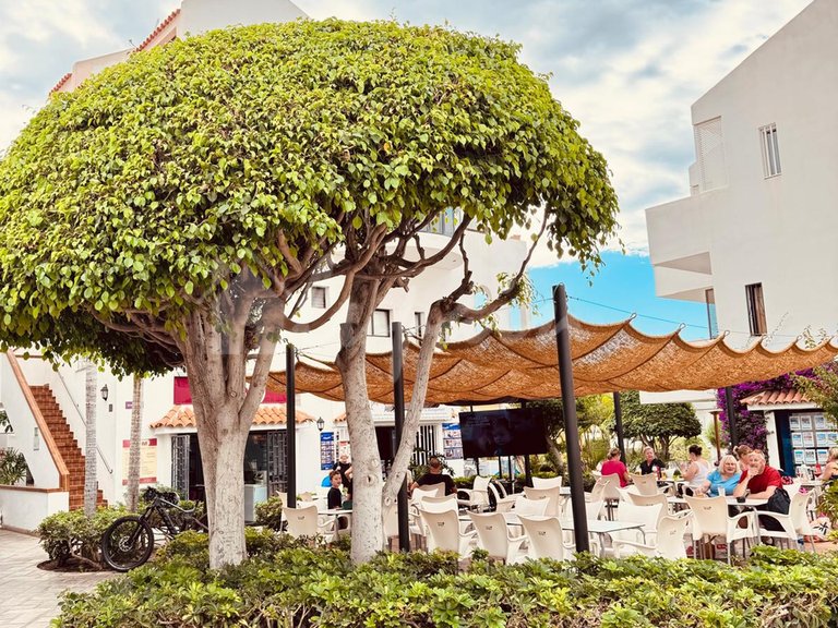 Apartment for Sale in Los Cristianos, Cristian Sur 47