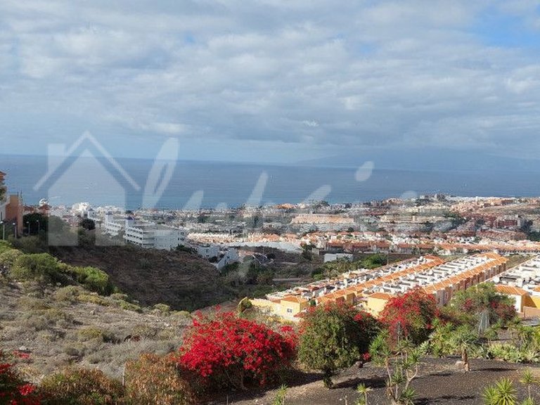 Apartment for Sale in Torviscas, Roque Del Conde 2