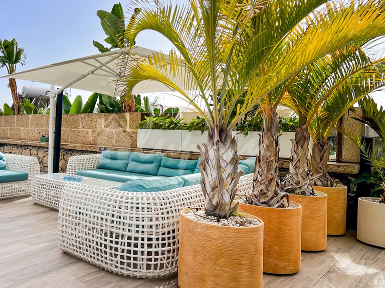 Villa for Sale in Costa Adeje, Malaga 9