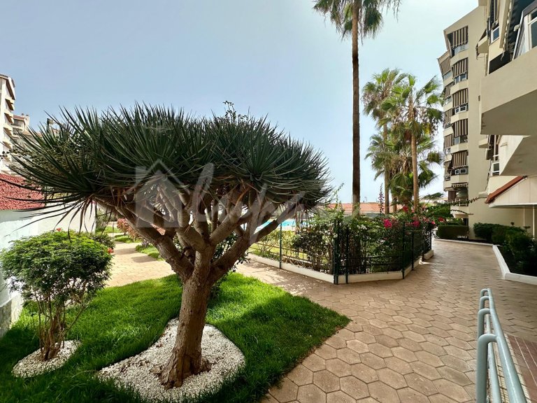 Apartment for Sale in Los Cristianos, Jardines Del Sur 20