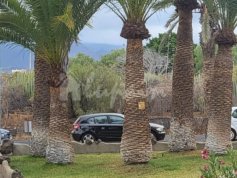 Apartment for Sale in Costa Del Silencio, Carabela 4