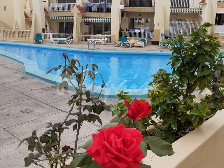 Apartment for Sale in Torviscas, Mareverde 2