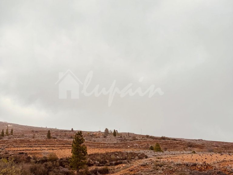 Country House for Sale in Vilaflor, Tenerife 5
