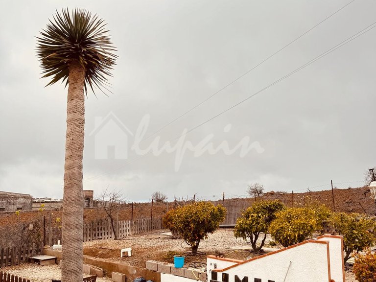 Country House for Sale in Vilaflor, Tenerife 8