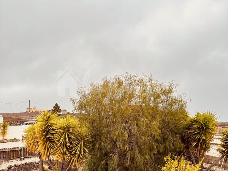 Country House for Sale in Vilaflor, Tenerife 4