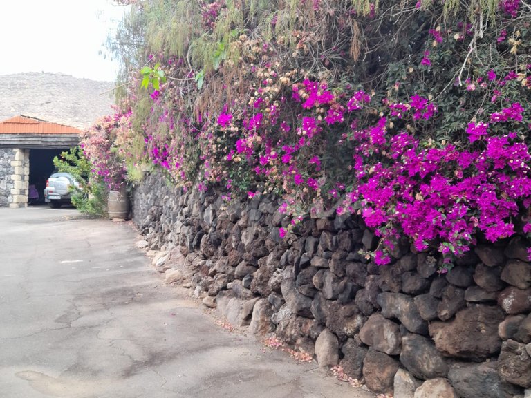 Villa for Sale in Los Gigantes, Tenerife 27