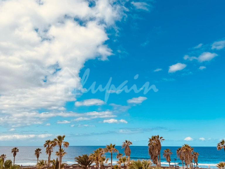 Apartment for Sale in Playa De Las Americas, Parque Santiago 9