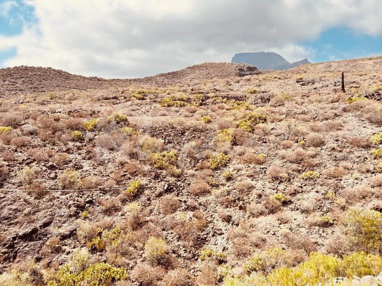 Town House for Sale in Chayofa, Residential Elena 28