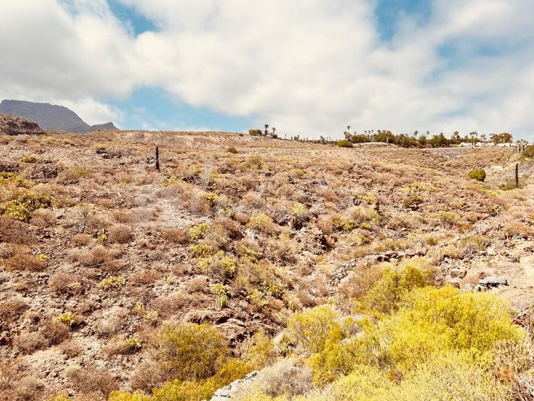 Town House for Sale in Chayofa, Residential Elena 29