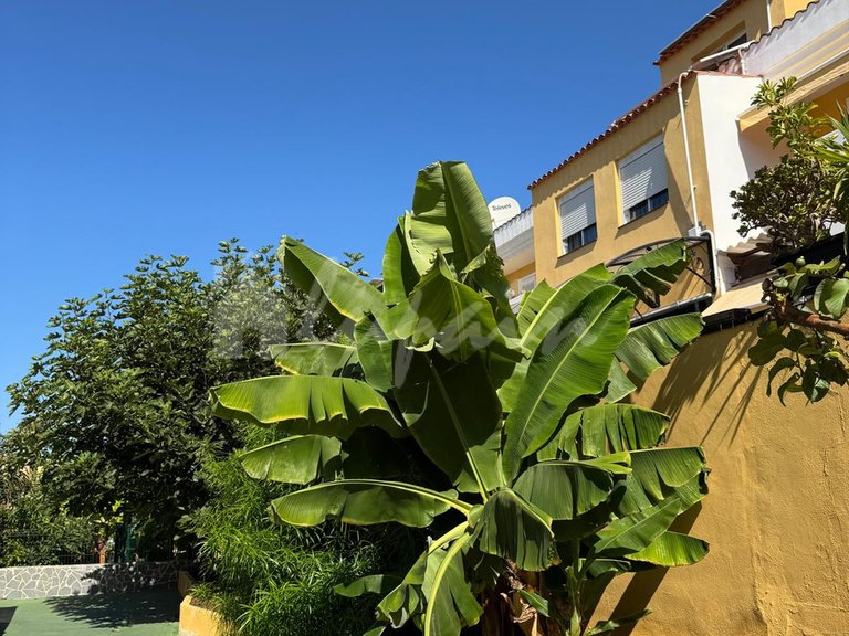 Town House for Sale in Playa De Las Americas, El Camison 29