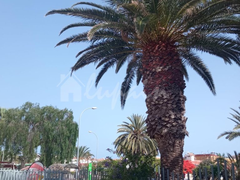 Apartment for Sale in Costa Del Silencio, Chayofita 37