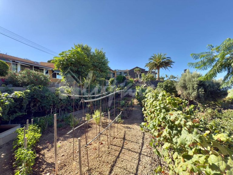 Villa for Sale in Guia De Isora, Vera De Erques 47