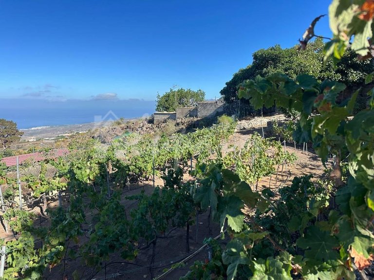 Villa for Sale in Guia De Isora, Vera De Erques 49