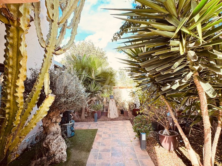 Villa for Sale in Amarilla Golf, Tenerife 29