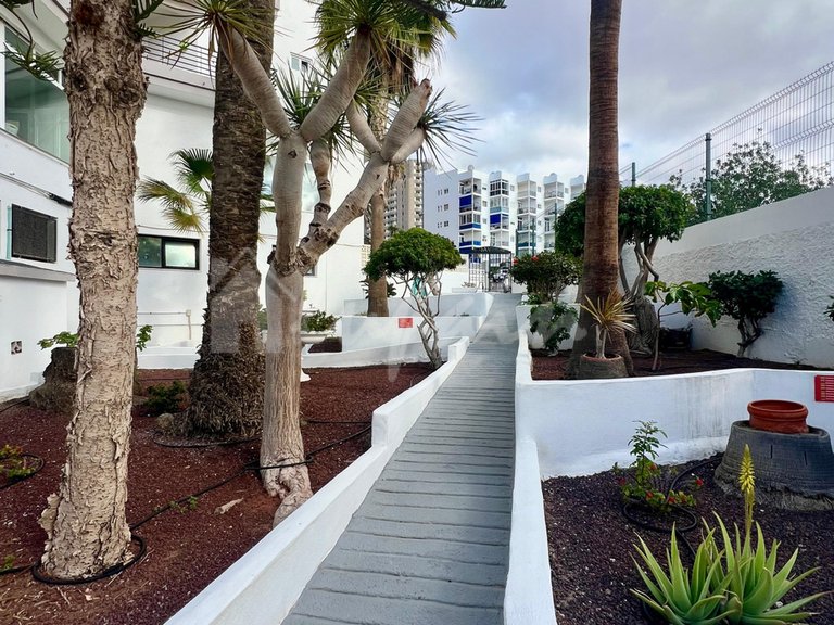 Apartment for Sale in Los Cristianos, La Estrella 3