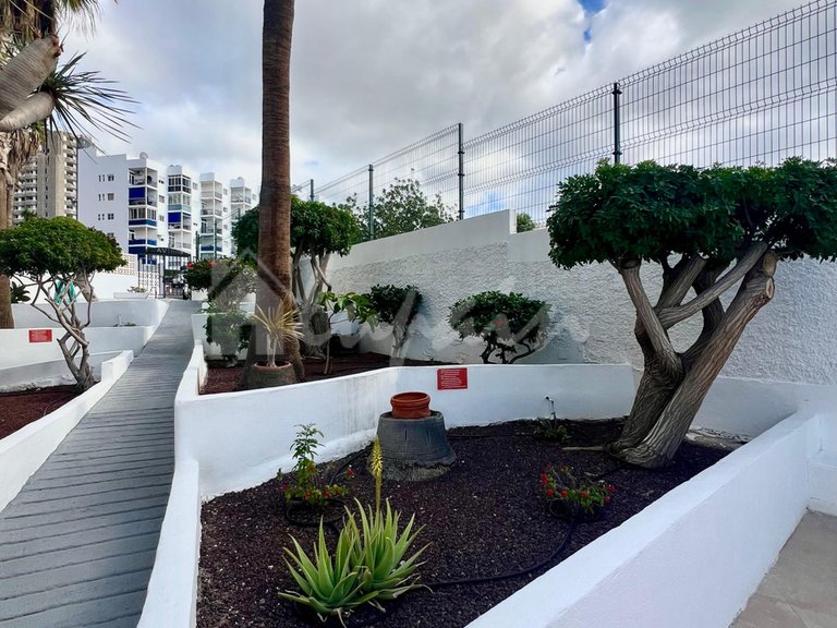 Apartment for Sale in Los Cristianos, La Estrella 4