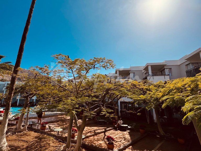 Apartment for Sale in Los Cristianos, Tenerife 14