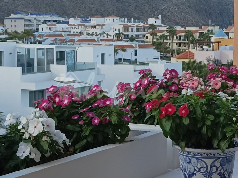 Penthouse for Sale in Los Cristianos, Los Seres 19