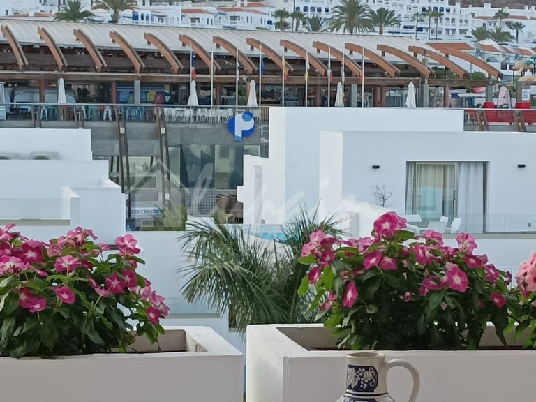 Penthouse for Sale in Los Cristianos, Los Seres 29