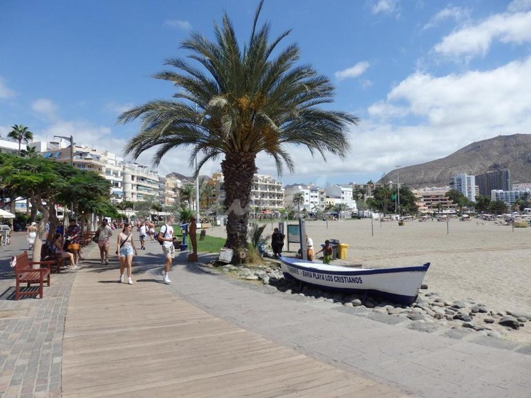 Apartment for Sale in Los Cristianos, Summerland 9