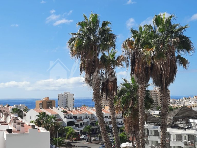 Apartment for Sale in Los Cristianos, Summerland 4