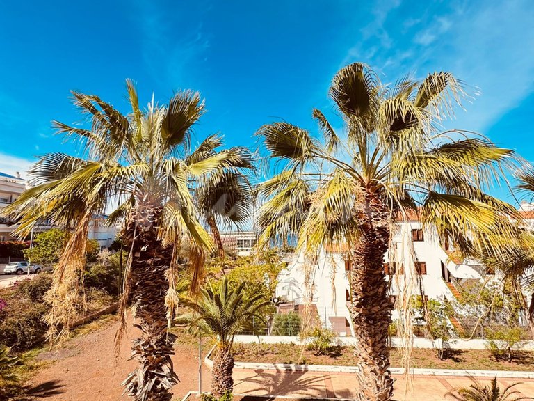 Apartment for Sale in Los Cristianos, Mar Y Sol 30