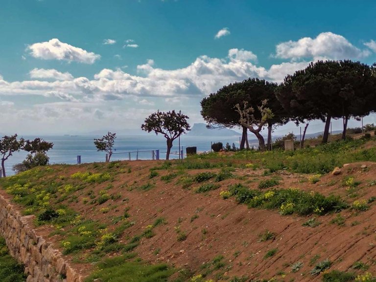 Plot for Sale in Manilva, Malaga 13