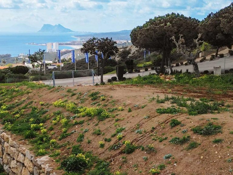 Plot for Sale in Manilva, Malaga 4