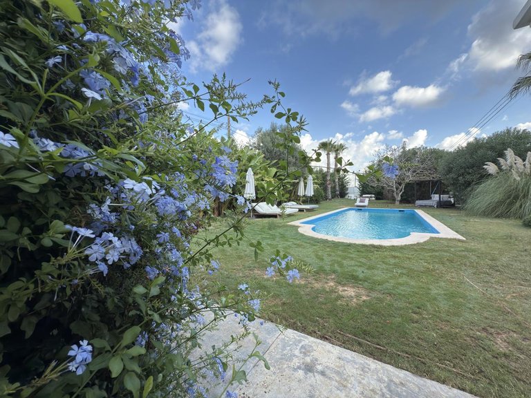 Villa for Sale in Sant Josep De Sa Talaia, Balearic Islands 6