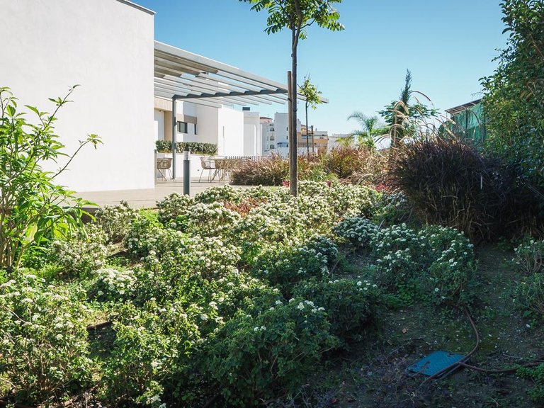 Apartment for Sale in Urbanización Puerto De Estepona, Malaga 36