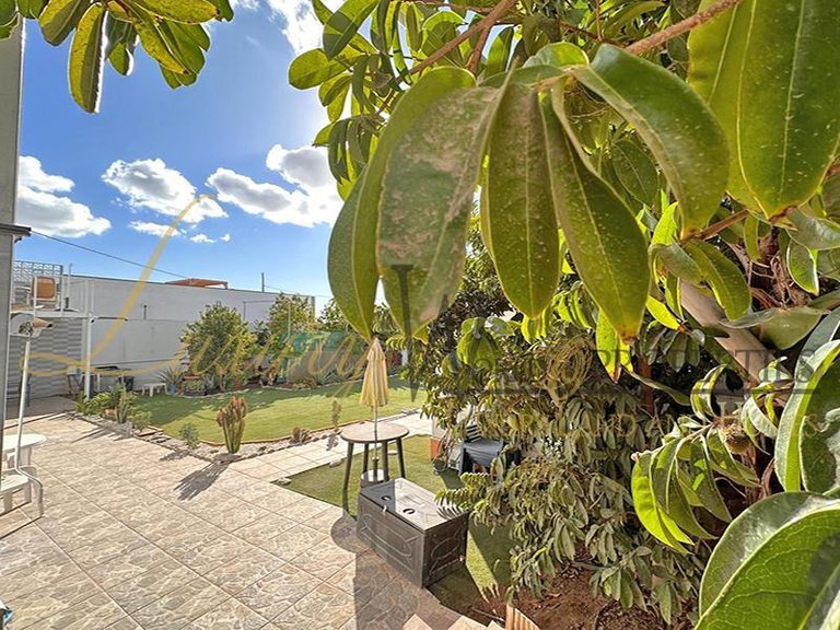 Villa for Sale in Buzanada, Tenerife, España 7