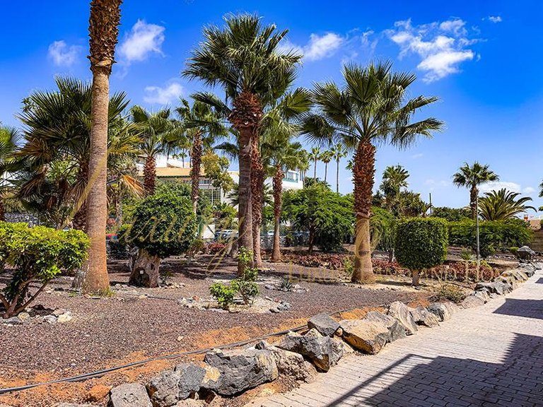 Apartment for Sale in Chayofa, Tenerife, España 11