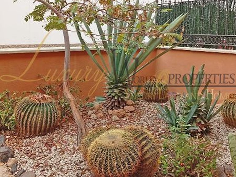 Apartment for Sale in Costa Adeje, Tenerife, España 13