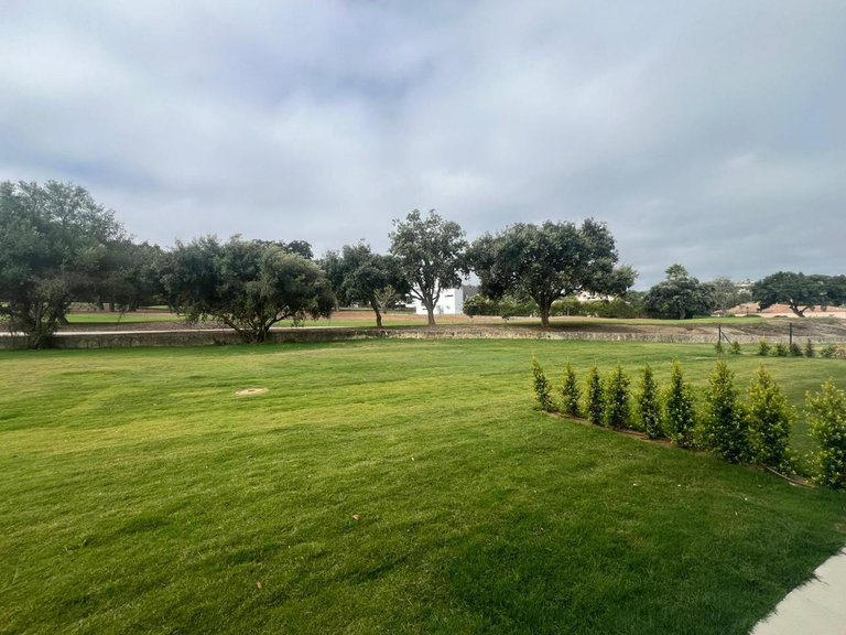 Apartment for Sale in San Roque, Cadiz 22