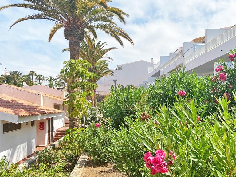 Apartment for Sale in Playa De Las Americas, Tenerife, España 5