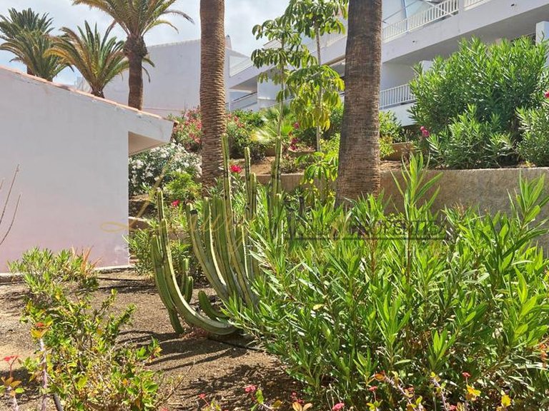 Apartment for Sale in Playa De Las Americas, Tenerife, España 11