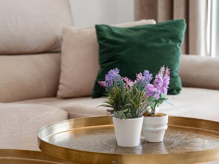 Apartment for Sale in Cancelada, Malaga 24