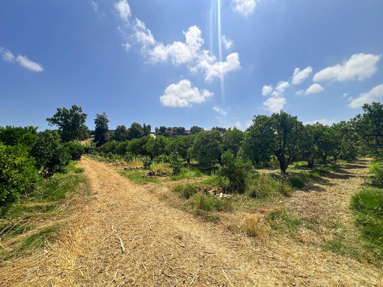 Plot for Sale in San Martín Del Tesorillo, Cadiz 2