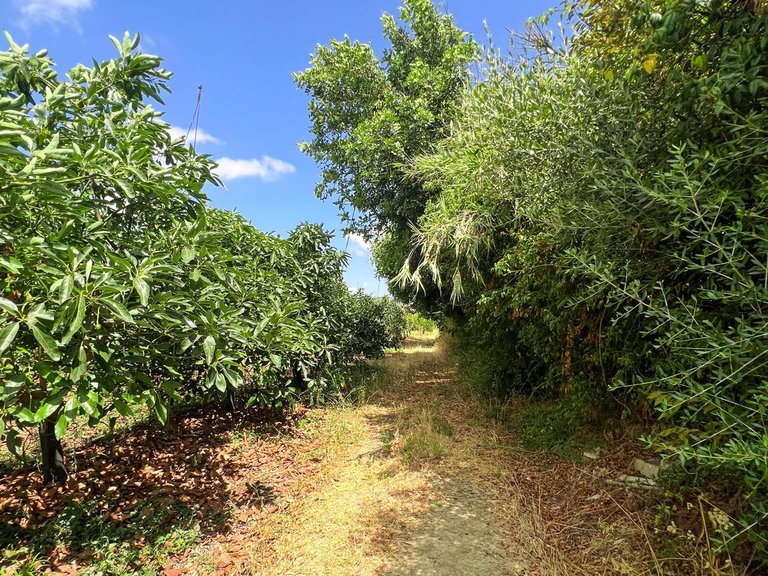 Plot for Sale in San Martín Del Tesorillo, Cadiz 12
