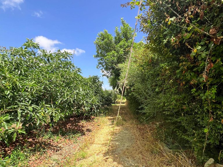 Plot for Sale in San Martín Del Tesorillo, Cadiz 11