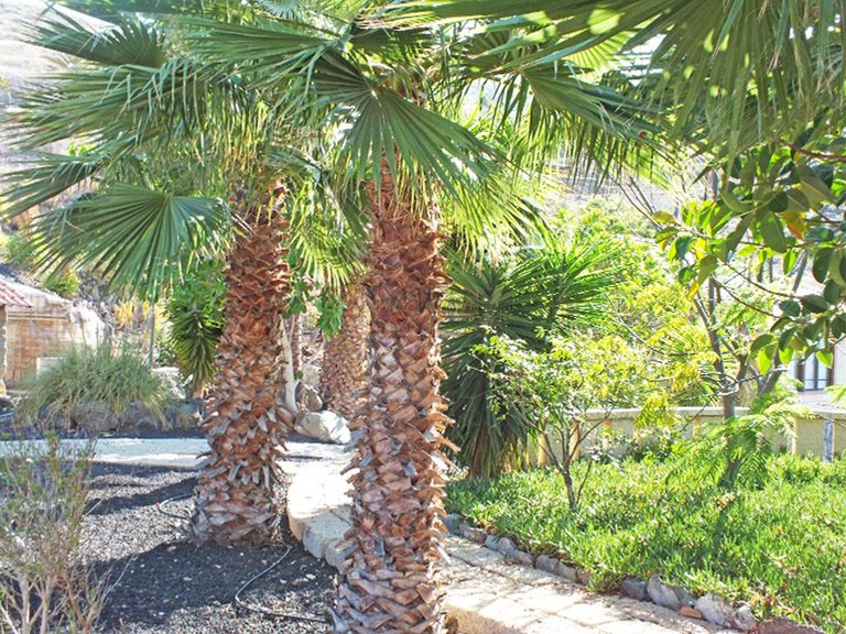 Villa for Sale in Los Menores, Tenerife, España 38