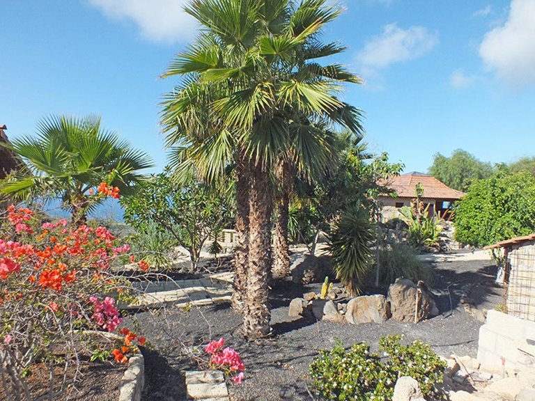 Villa for Sale in Los Menores, Tenerife, España 36