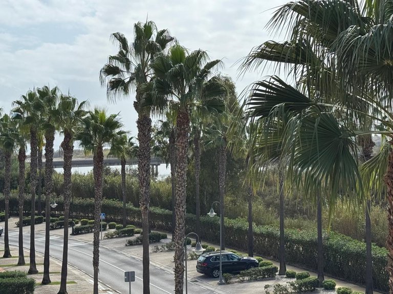 Apartment for Sale in San Roque, Cadiz 10