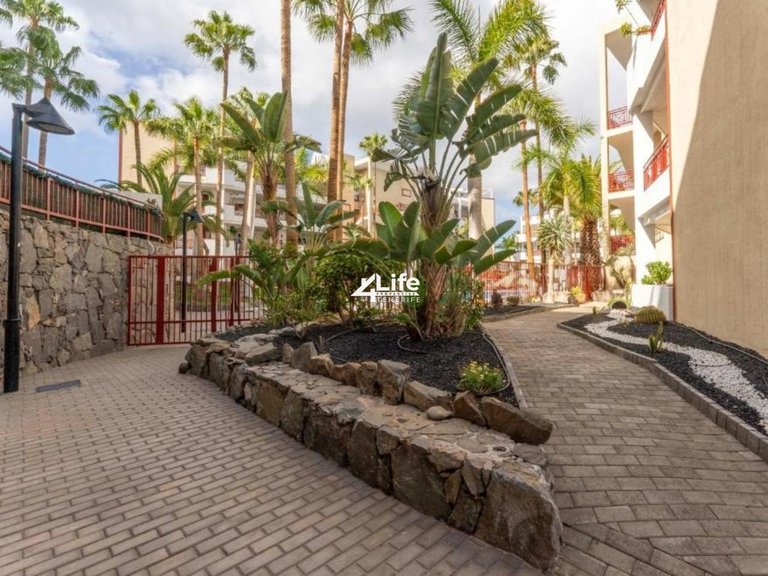 Apartment for Sale in Palm-mar, Arona 24