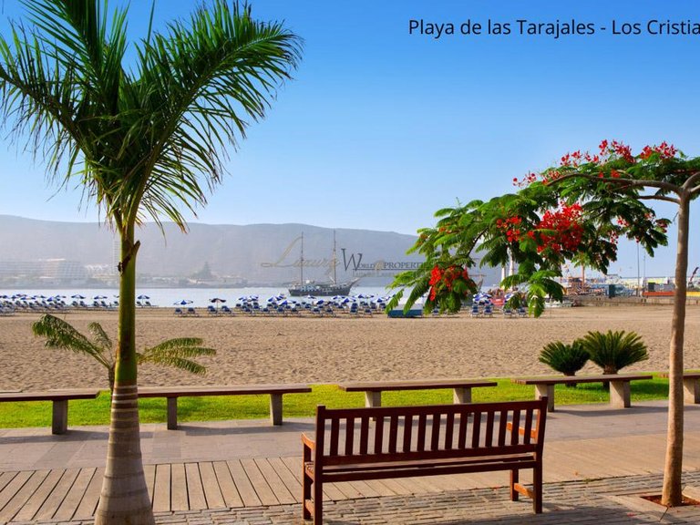 Apartment for Sale in Los Cristianos, Tenerife, España 11