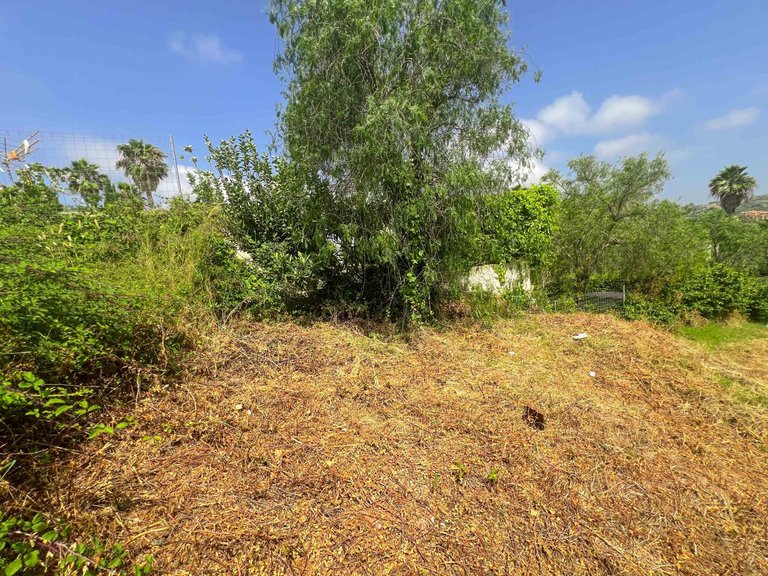 Plot for Sale in San Roque, Cadiz 6