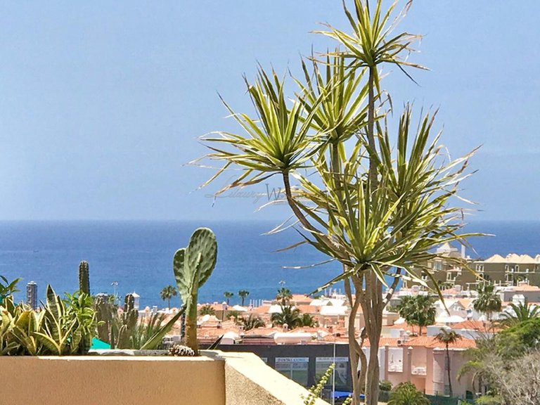 Apartment for Sale in Costa Adeje, Tenerife, España 3