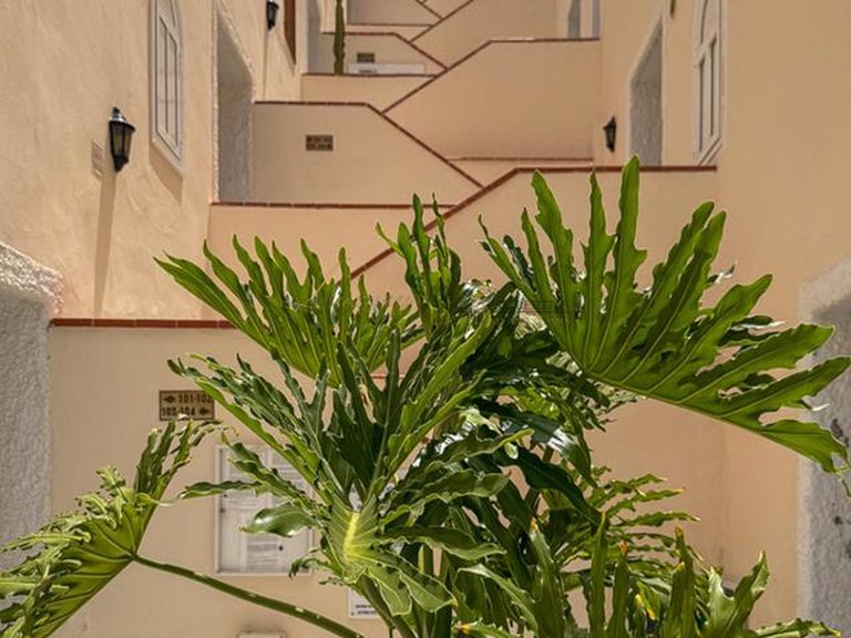 Apartment for Sale in Costa Adeje, Tenerife, España 24