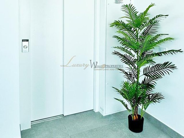 Villa for Sale in Rocabella, Tenerife, España 33